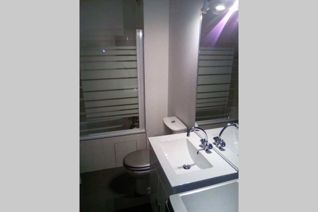 Studio Double 21 Centre De Limoges Wifi Екстер'єр фото