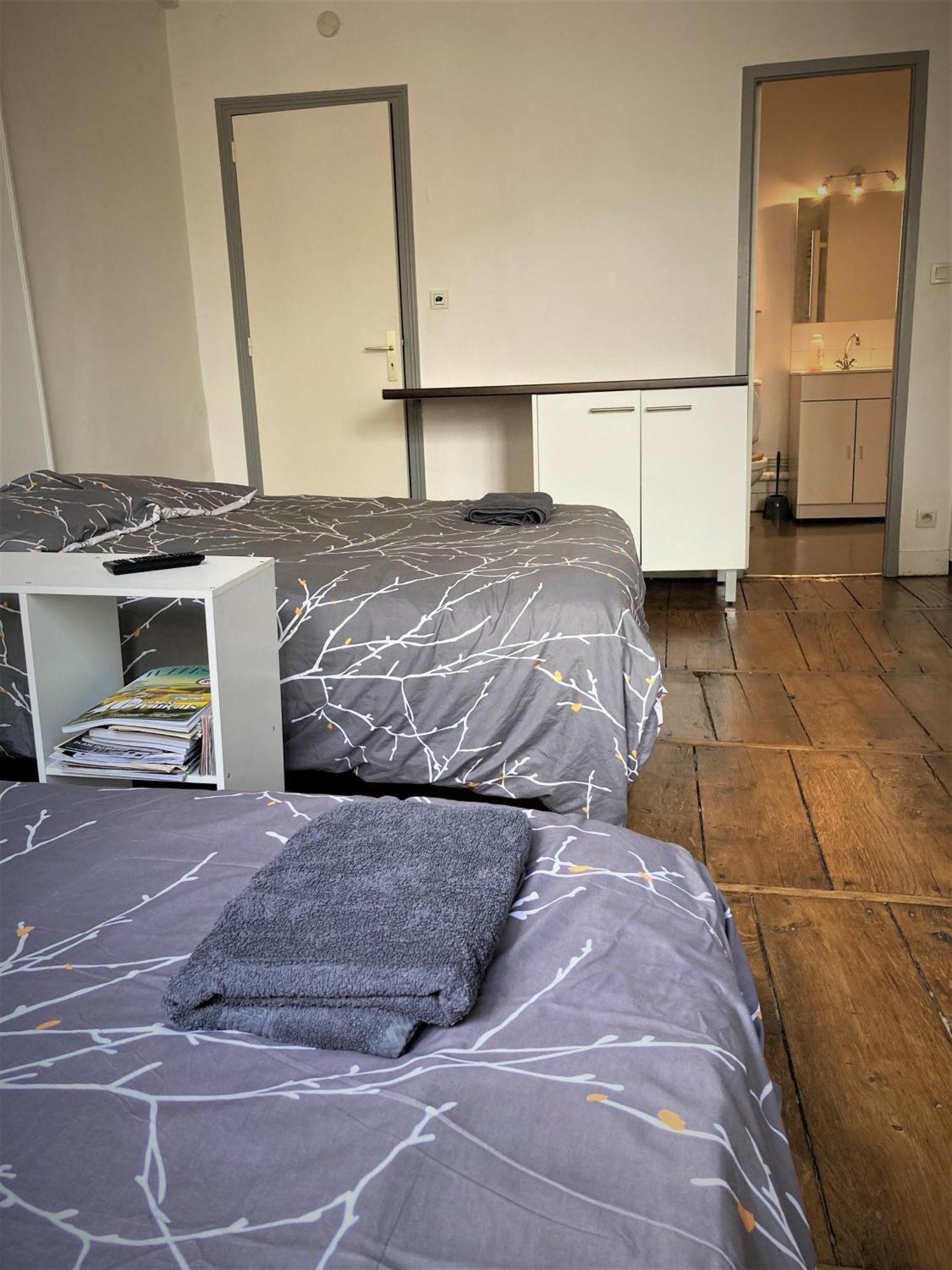 Studio Double 21 Centre De Limoges Wifi Екстер'єр фото